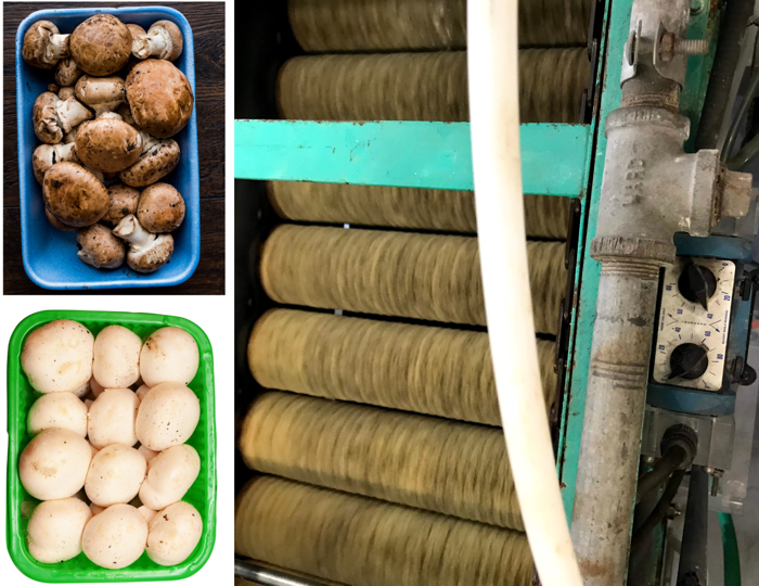 surface material image