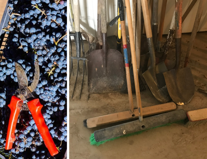 surface material image