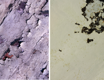 material image