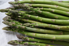 Image of Asparagus